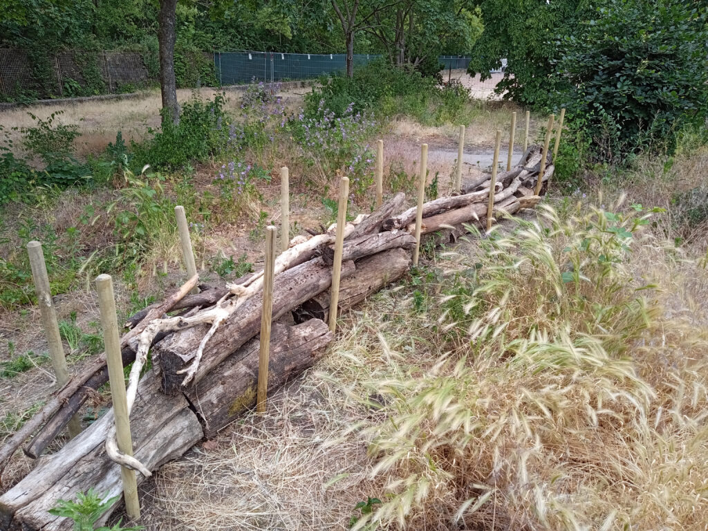 selbstgebauter zaun aus fundholz